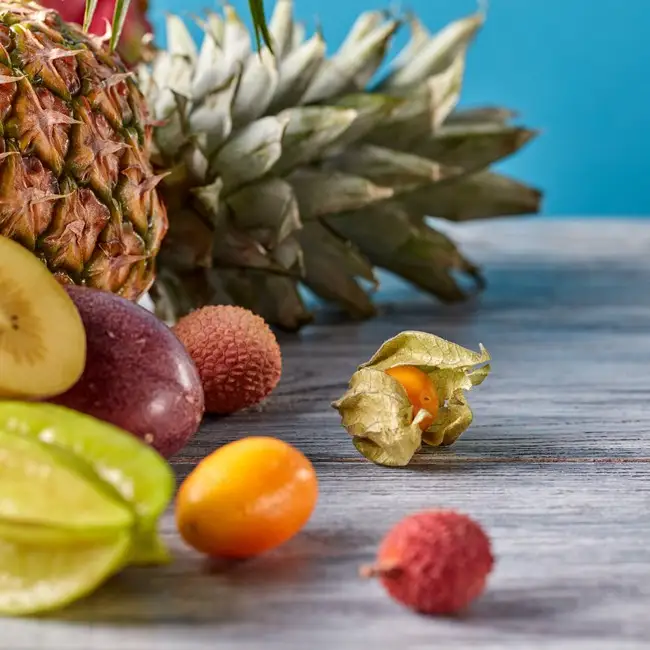 莲花泡水喝的功效